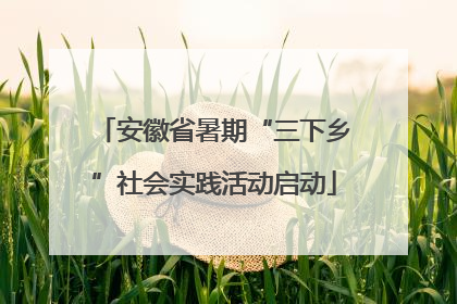 安徽省暑期“三下乡”社会实践活动启动